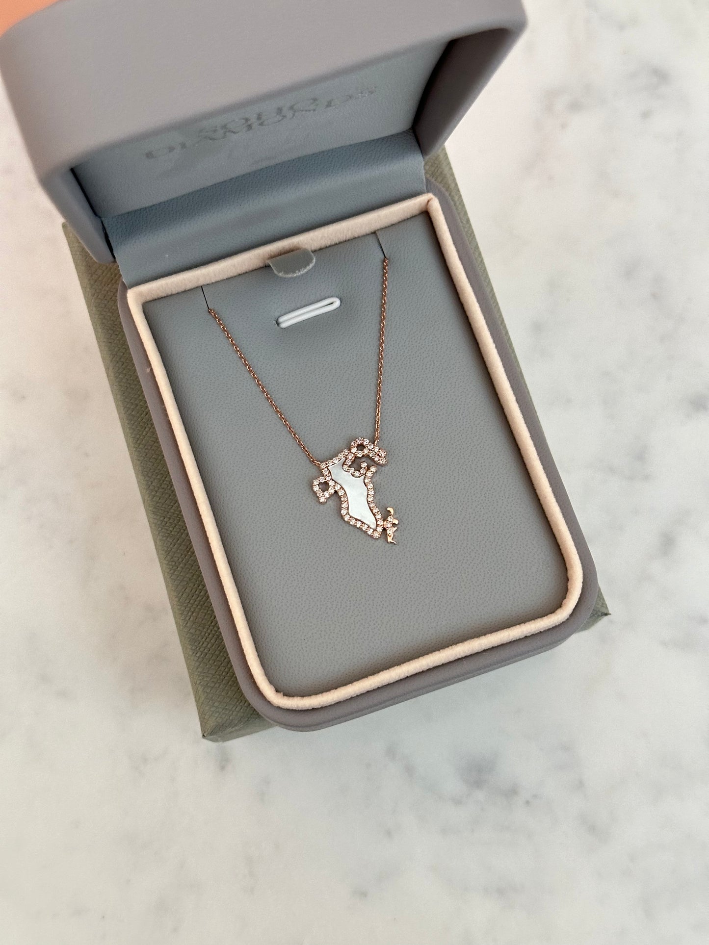 Mother of Pearl & Diamond Map Necklace